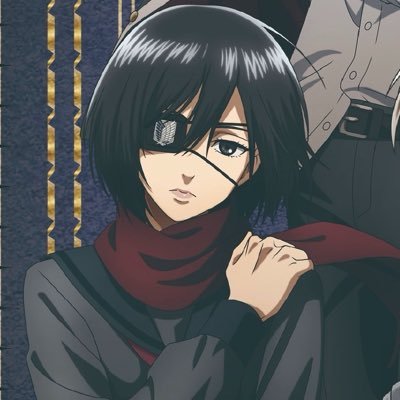 mikasaarchive's profile picture