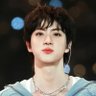 JIN 곡만 스밍하는 Adelaide⁷ 🐋's profile picture
