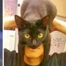 Exu de Deus profil fotoğrafı