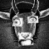 Profilbild von TheNebulaMoth