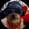 Profilbild von 5⭐️ The BirdHouse Tailgate