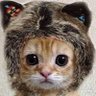 きゅう profil fotoğrafı