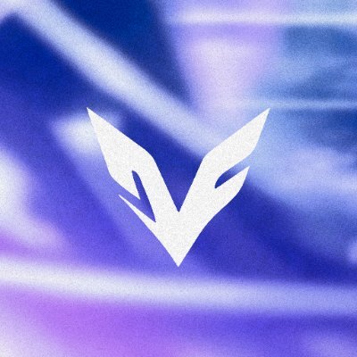 VoidEsports2x's profile picture