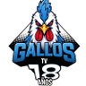 GallosTV's profile picture