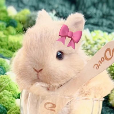 소금이's profile picture