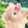 소금이 的头像