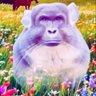 Profilbild von もちもち