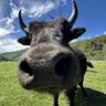 Profilbild von liyidong(100x