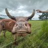Timothy Martin's profile picture