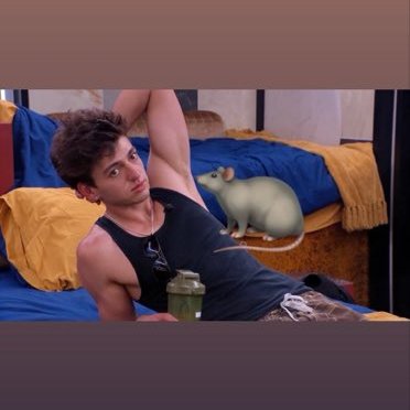TheBiApollo's profile picture