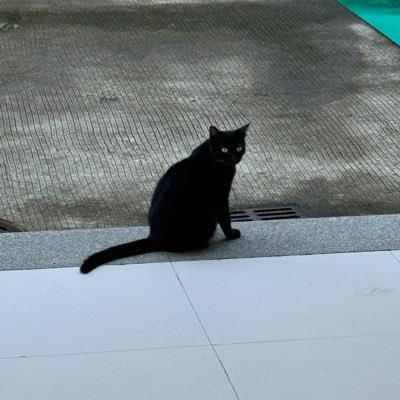 liamredu's profile picture