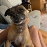 Sum Sum profil fotoğrafı
