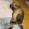あー's profile picture