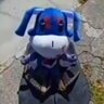 sptlight's profile picture