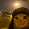 Gusta profil fotoğrafı