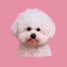 Profilbild von Purpose