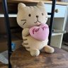 ぽっぽ profil fotoğrafı