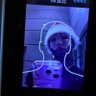 nJ's profile picture