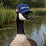 Goose Groyper's profile picture