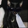 Diana 🦇's profile picture