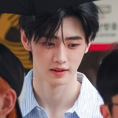 ⭒'s profile picture