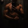 No One's profile picture