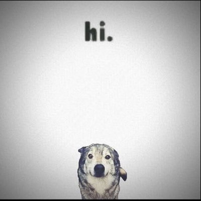 iwasbored83's profile picture