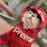 Kwannnn🍀 profil fotoğrafı