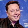 Elon musk parody 的头像