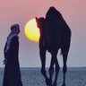 رائد العتيبي's profile picture