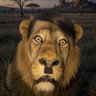 Фото профиля Adolf Hilton