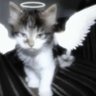 Profilbild von ionttye