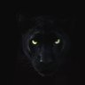 D3ath by 1000 cuts's profile picture