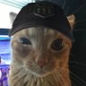 Juneau profil fotoğrafı