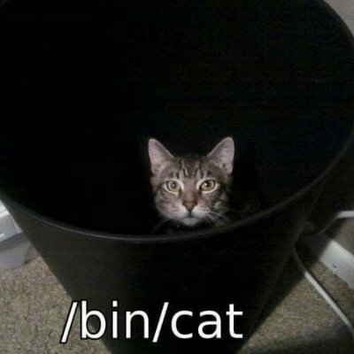 redactedtake's profile picture