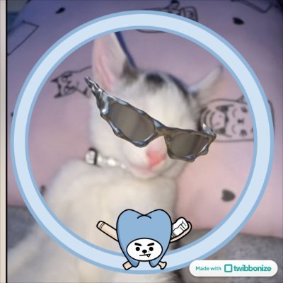 𝓷𝓸𝔂's profile picture