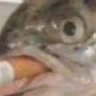 nnnnnnnnnnnnn's profile picture
