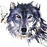 Rafalsky's profile picture