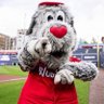 Win Woo Sox Season Tickets profil fotoğrafı