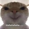 Profilbild von Shivamm
