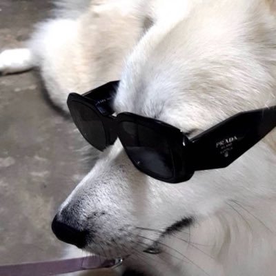 srfbpfk's profile picture
