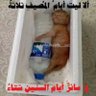 Oussama El 的头像