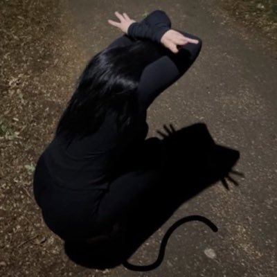 size_comp's profile picture
