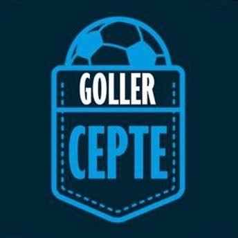 cebindegoller11's profile picture