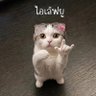 orn_pwn🐯🐶🐻🐼 profil fotoğrafı