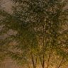 ٠٠٠٠٠٠'s profile picture