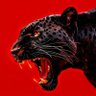 Фото профиля WILD CORE | ANIMAL FACTS 🐍