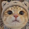Profilbild von songpengyou