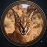 𓃠 الوشق المصري 𓃠 profil fotoğrafı