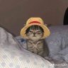 Cescaaaa 🍓 profil fotoğrafı